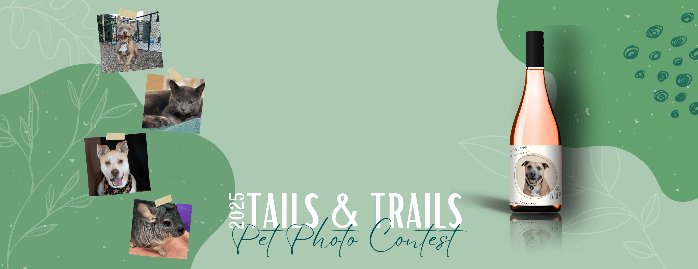 Pet Photo Contest