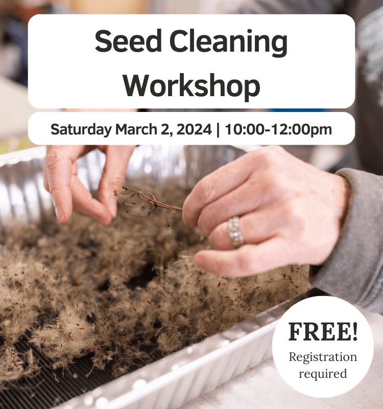 Seed Cleaning Workshop