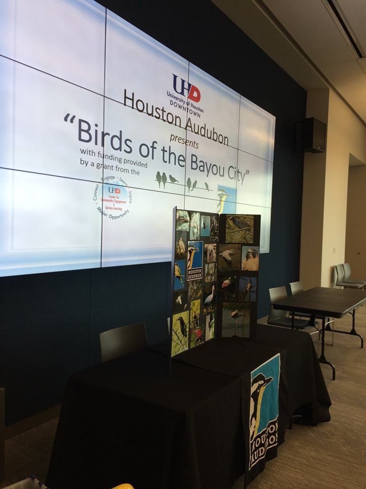 University of Houston Presentation