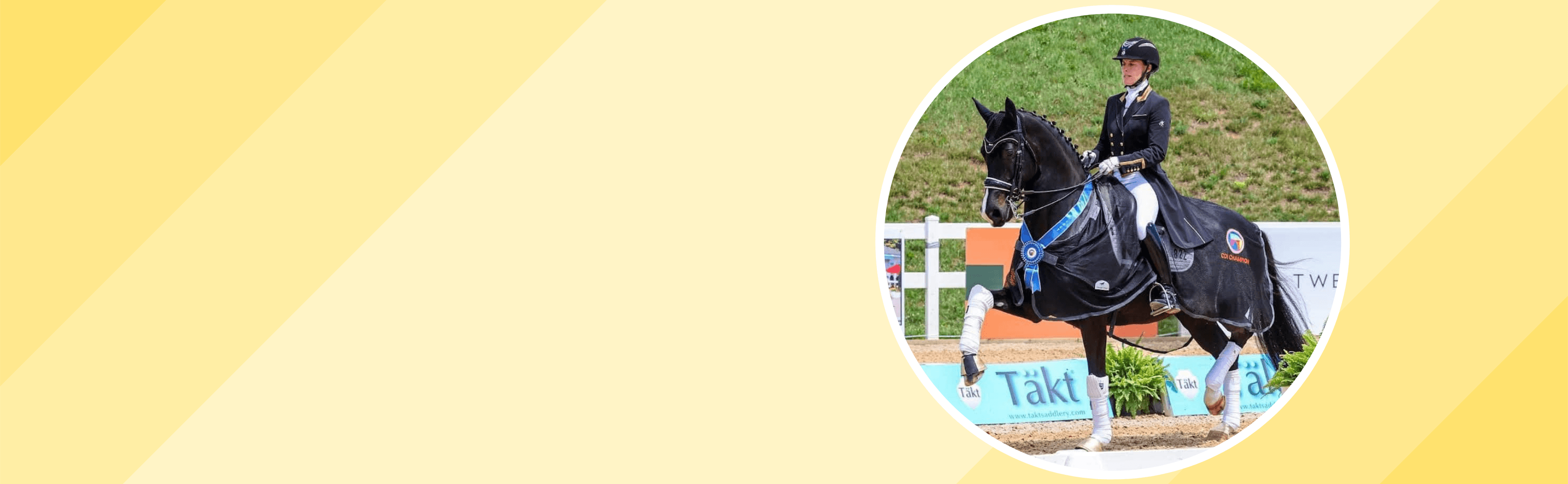 What are Your Dressage Dreams?