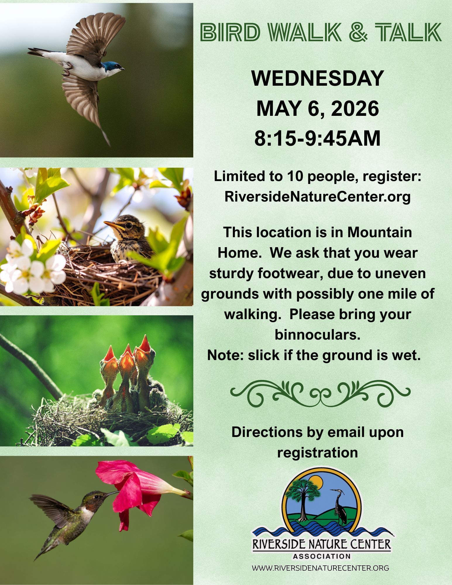 Guided bird identification and observation walk, Bird Watching near me, Riverside Nature Center, Texas Master Naturalist, Kerrville, Nature lover, education about birds