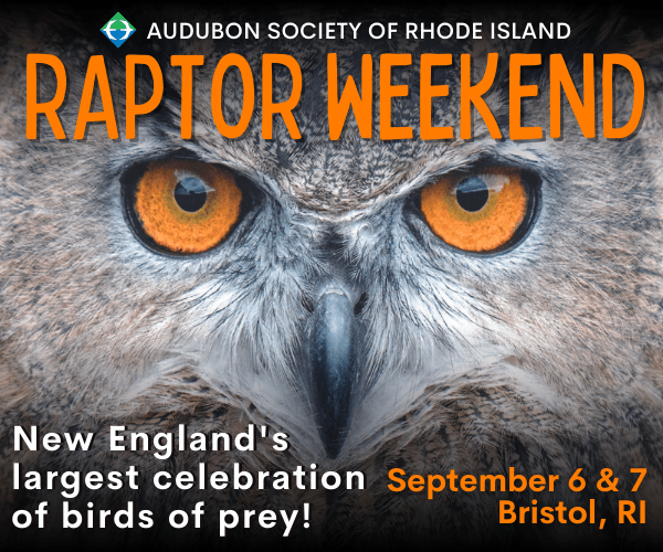 Raptor Weekend 2025