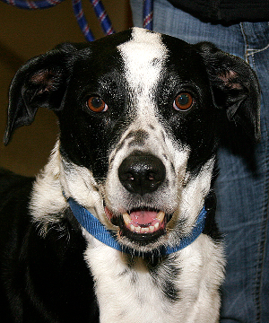 Meet Malcolm!