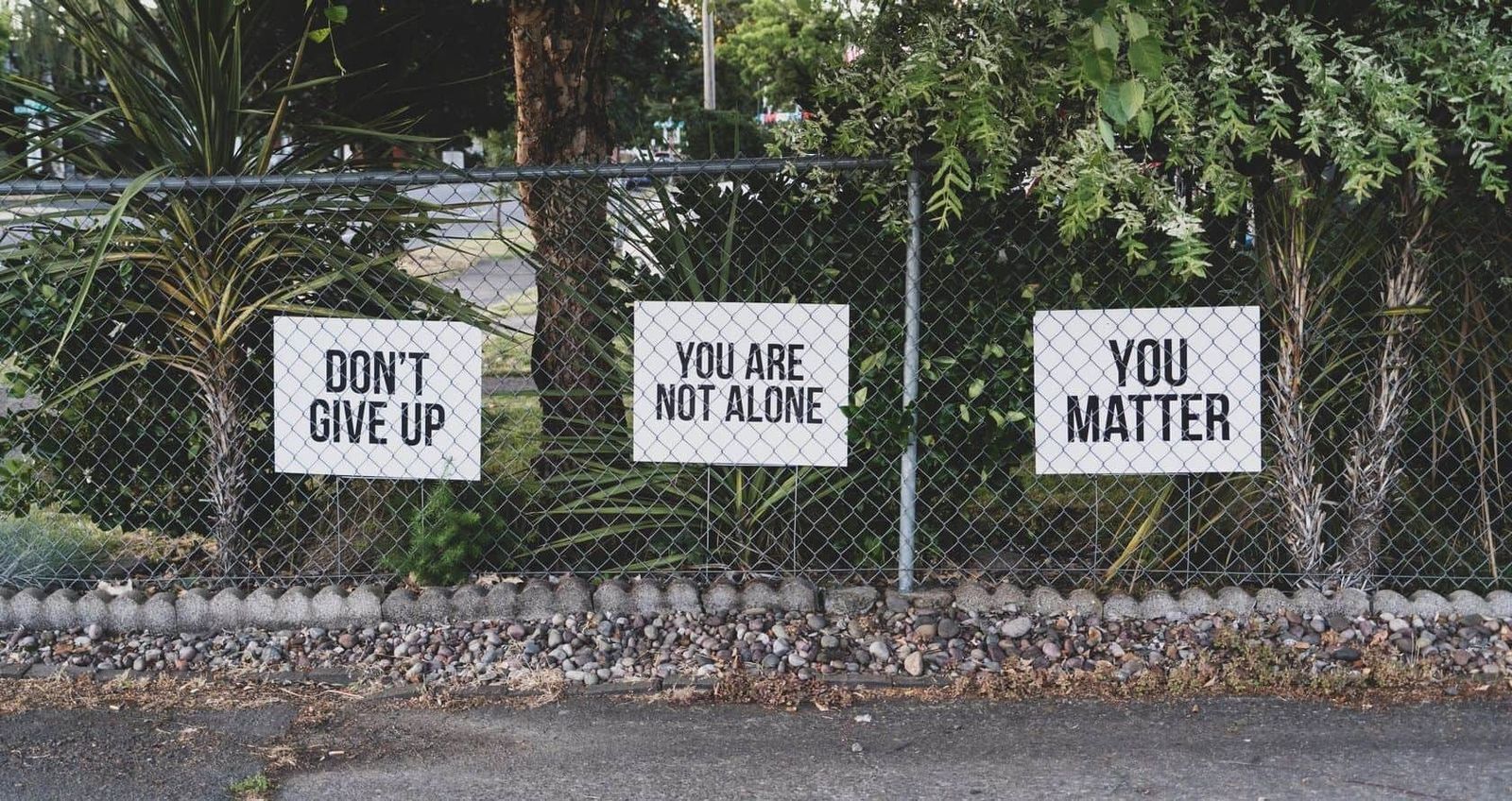 Encouraging Signs on Fence