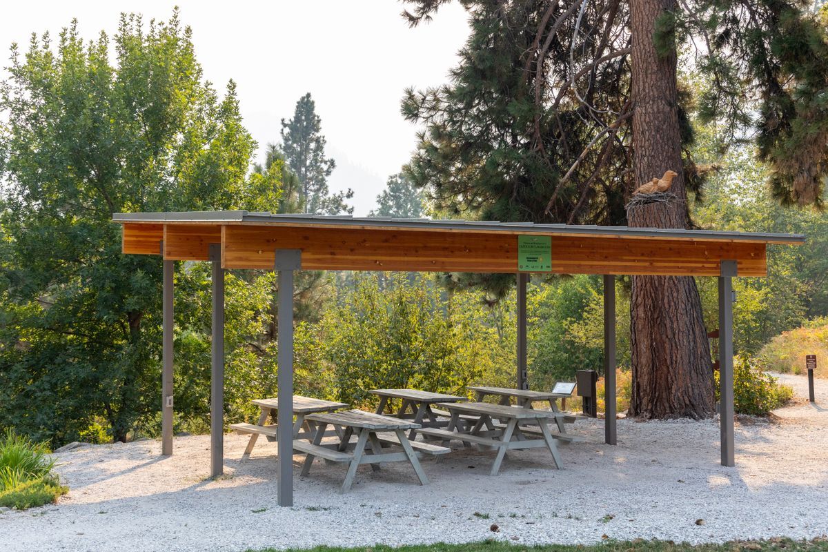 A photo of an outdoor covered structure with picnic tables.