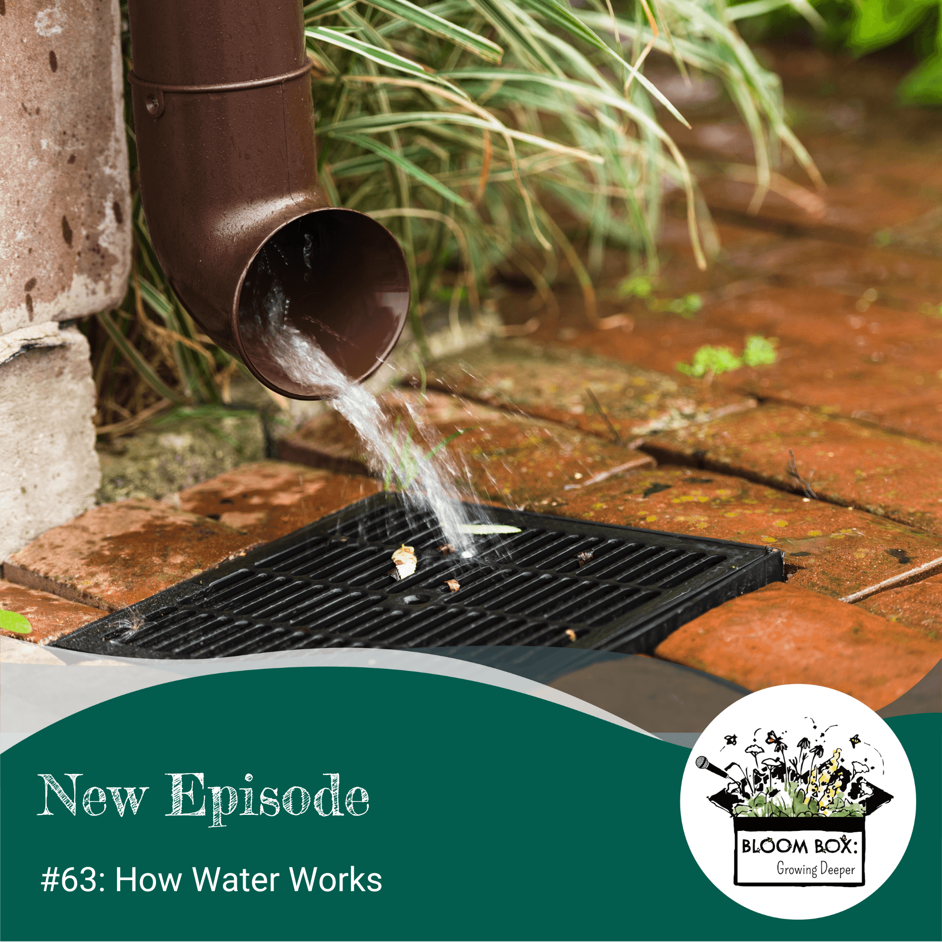 63: How Water Works