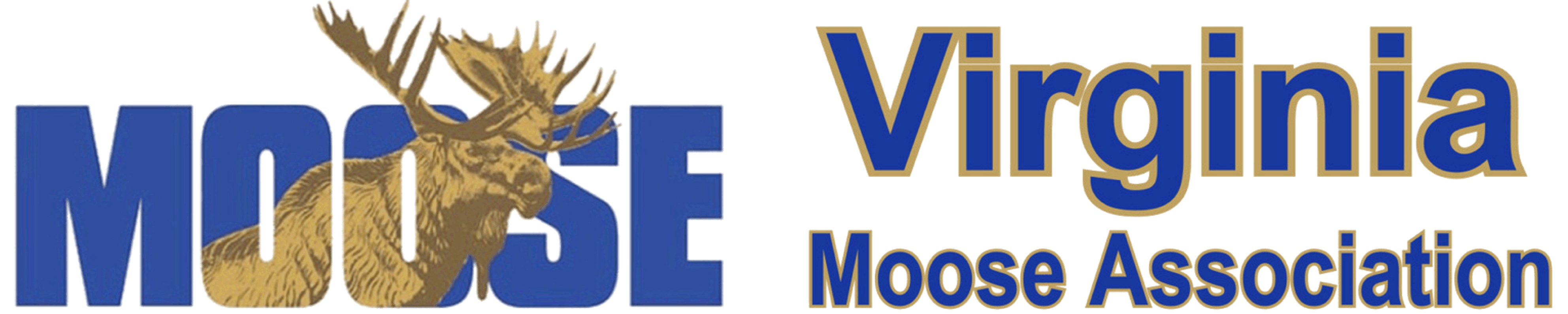 Placeholder Logo