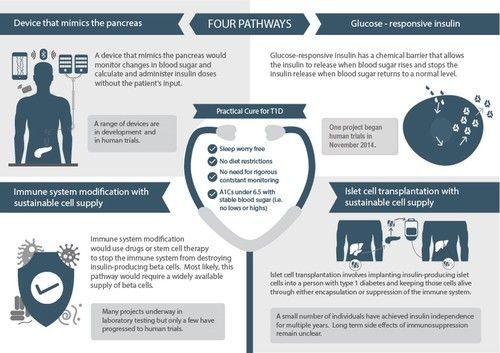 Four Potential Research Pathways to a Practical Cure