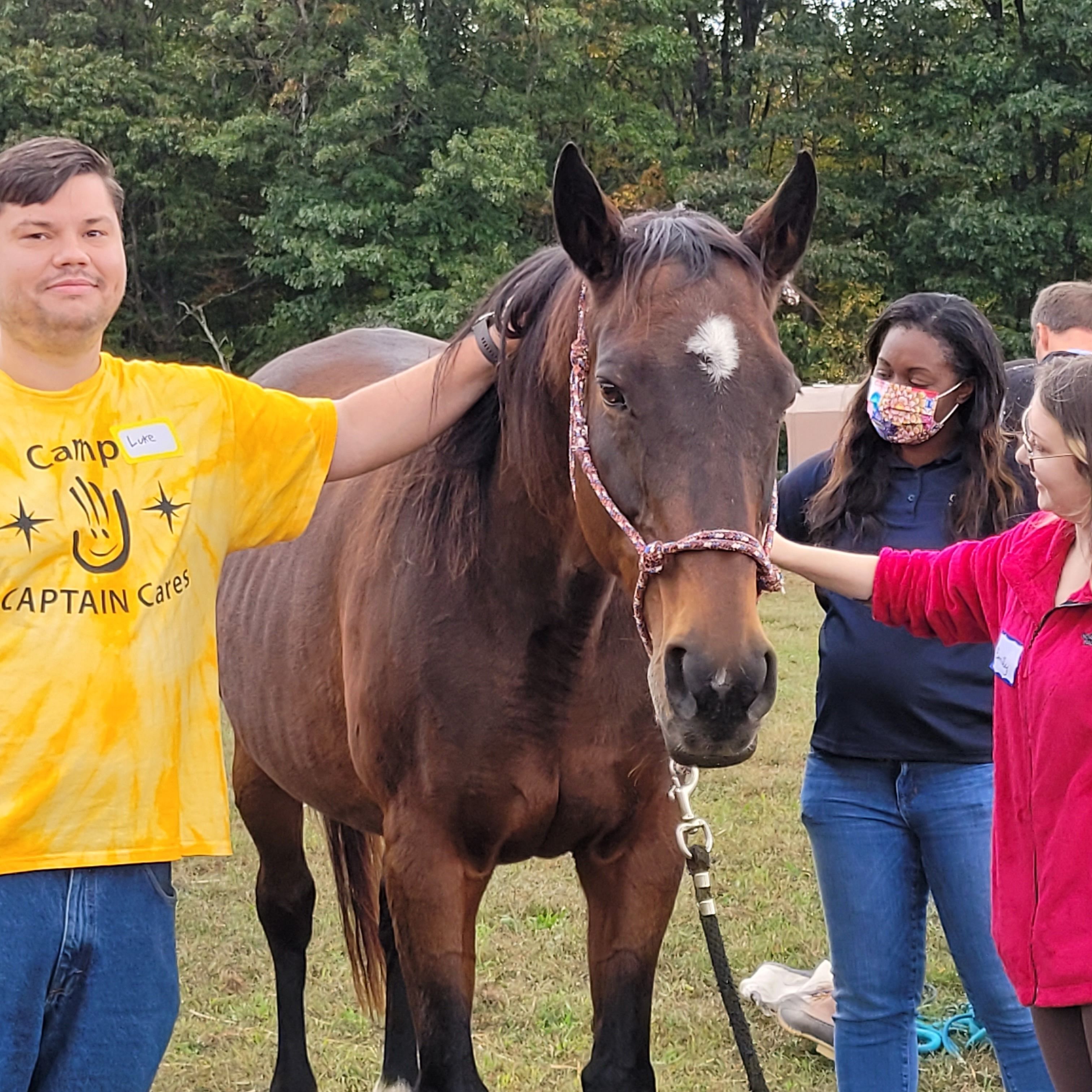 Staff Retreat with Therapeutic Horses of Saratoga!