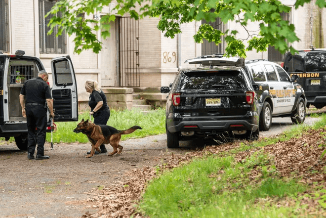 Police rescue 19 neglected dogs in abandoned Paterson home (NorthJersey.com)