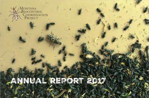 2017 Annual Report