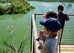 Guided School Field Trips to High Island