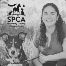 Meet Rosanna Isely, Vice President of Operations for SPCA Monterey County. Rosanna oversees our Wildlife Rescue and Rehabilitation Center, the SPCA Barn, Humane Investigations, the SPCA Behavior Department and the Facilities Department. Rosanna is incred