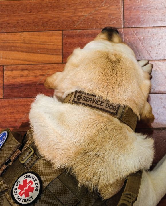 New Life K9s service dog