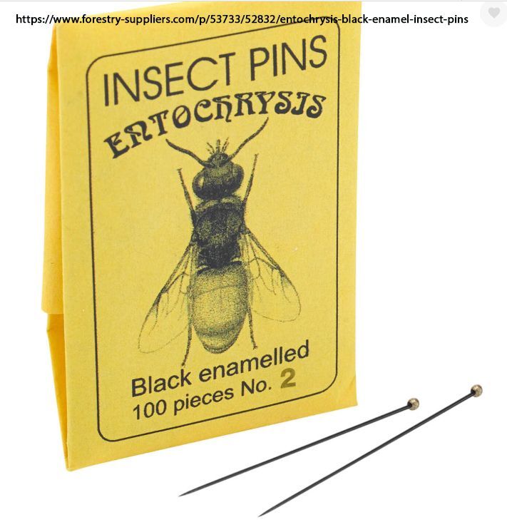 Insect pins