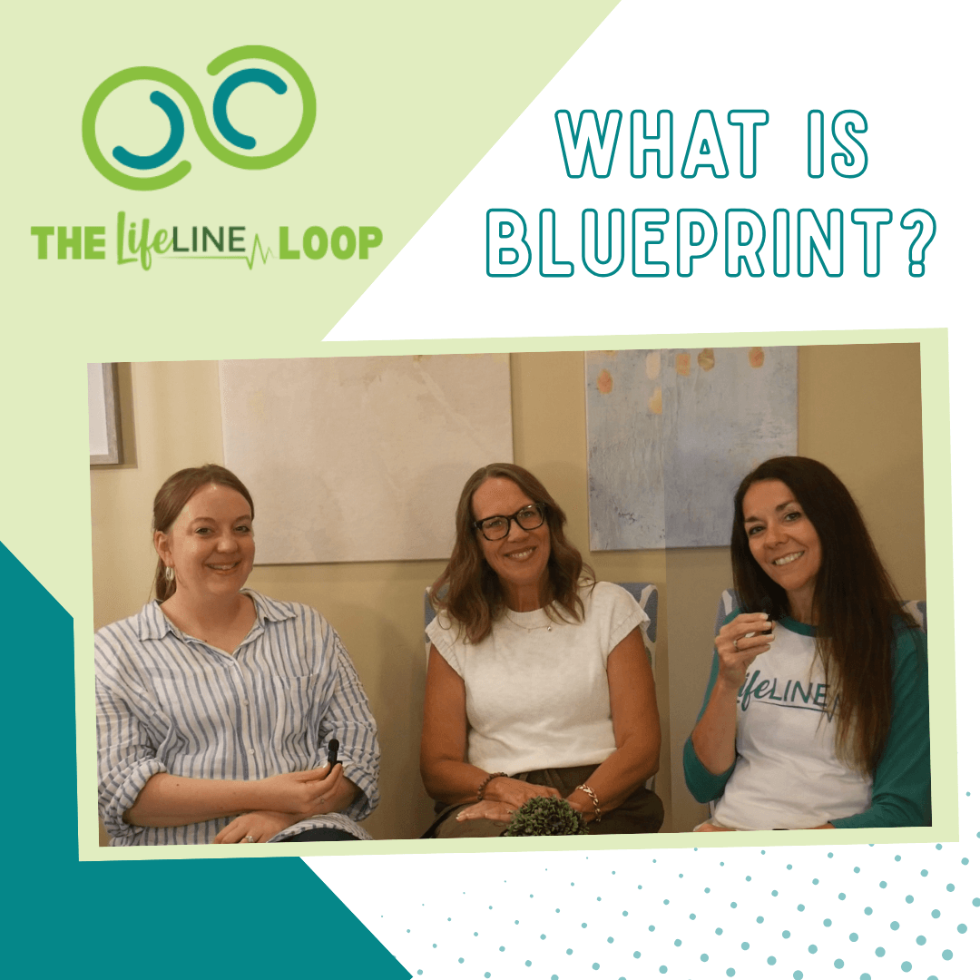 The Lifeline Loop | What is Blueprint?