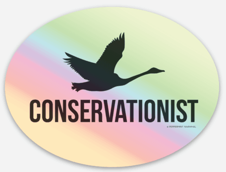 Conservationist Holographic Decal, featuring Trumpeter Swan in flight