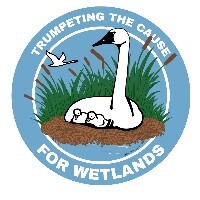 #16 Trumpeting the cause for wetlands sticker