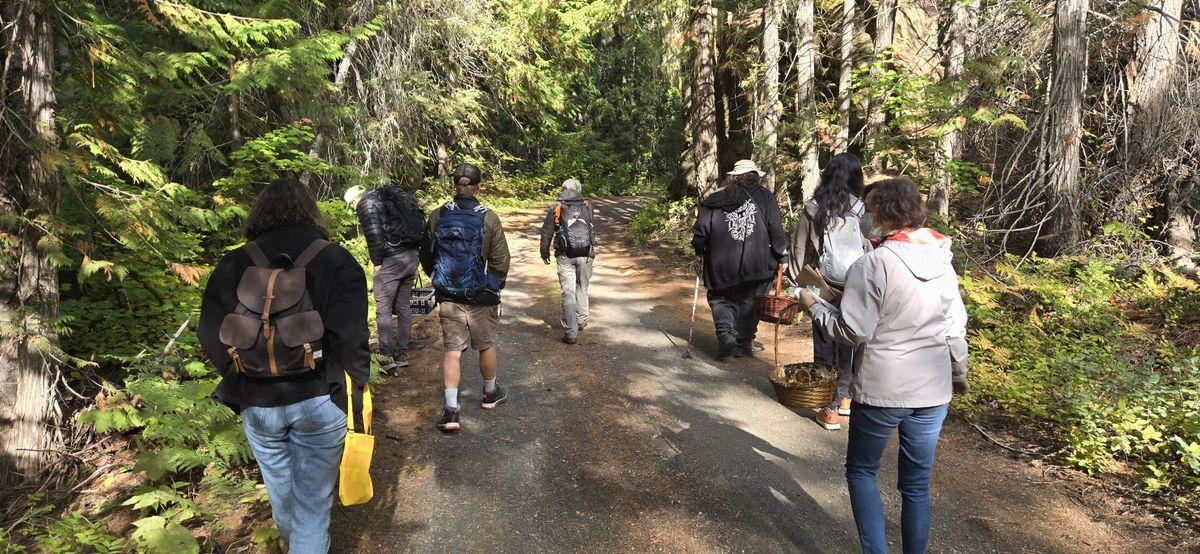 Mushroom Foraging group walking around WRI campus searching for fungi.
