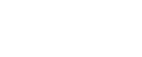 Down Syndrome Network of Montgomery County (DSNMC, Inc.)