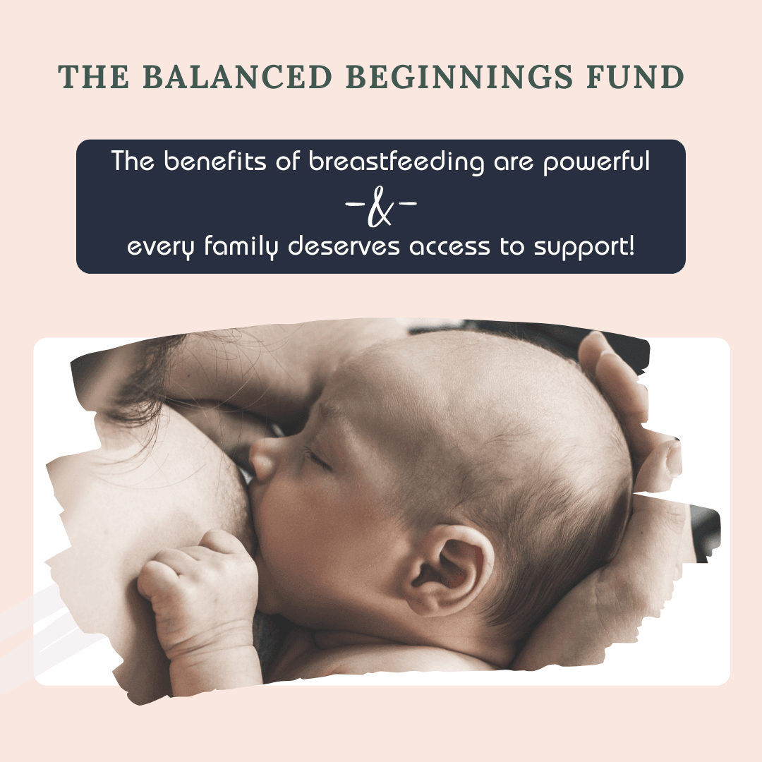 The Balanced Beginnings Fund