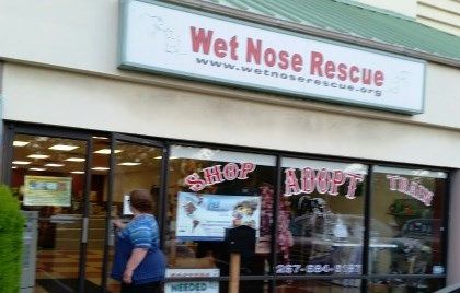 Wet Nose Rescue adoption center