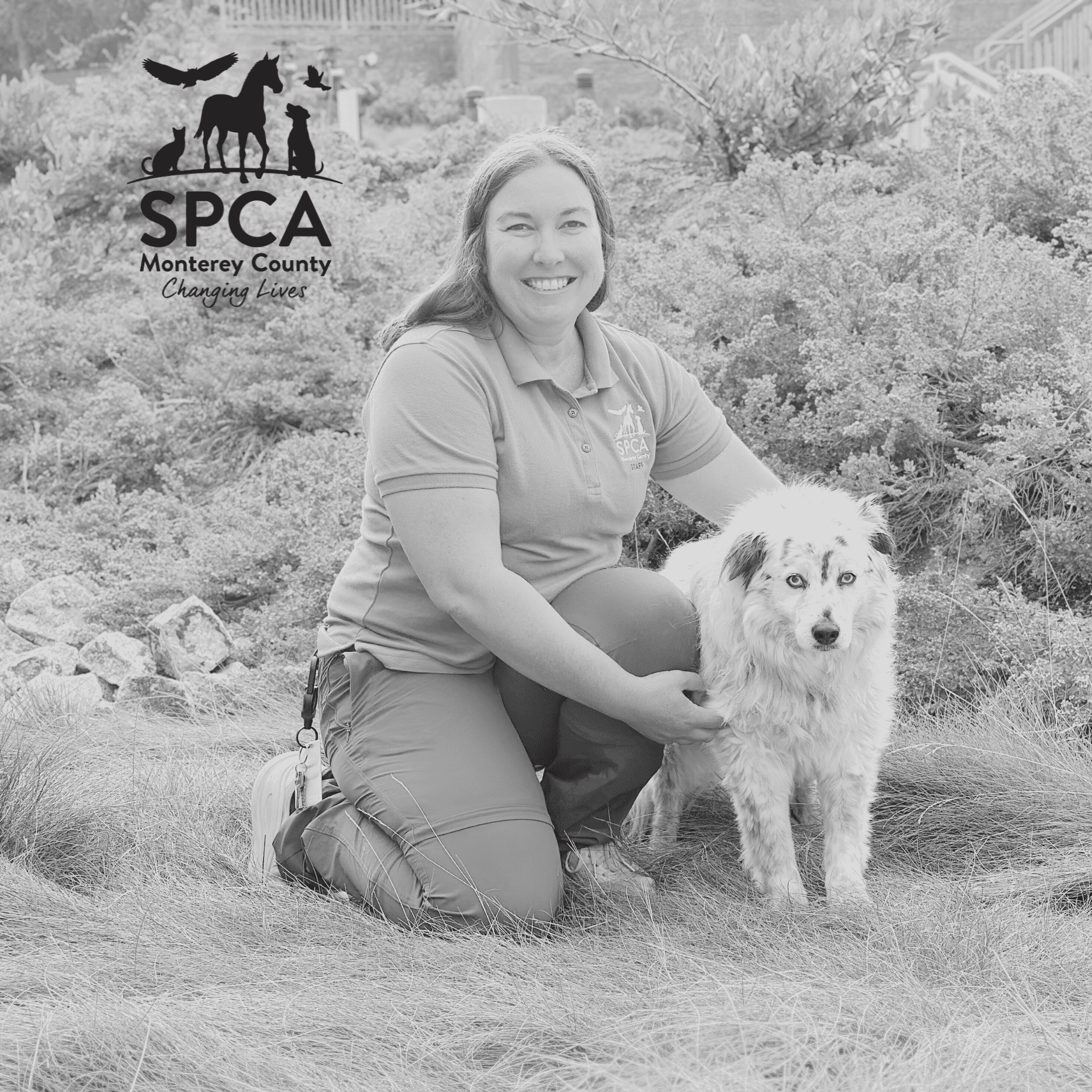 SPCA Stories:  Jamie Doglione, Ruff Start Pet Behavior Specialist