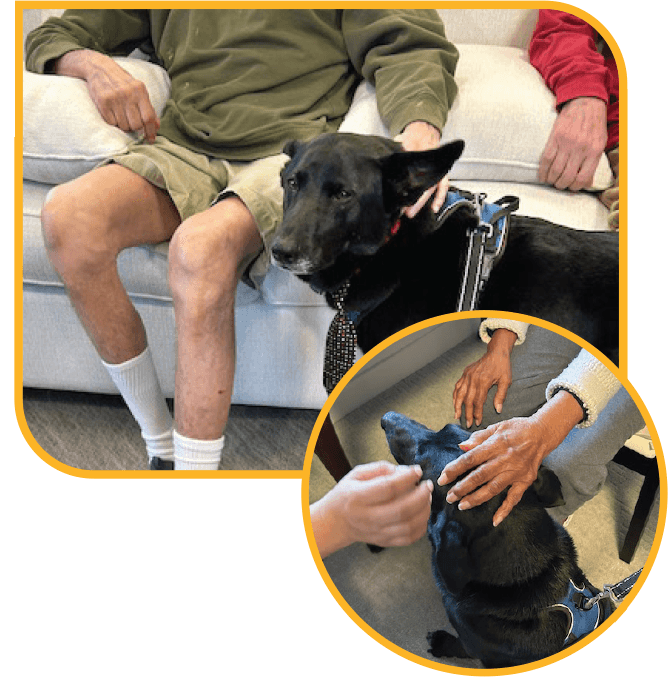 PetPals Volunteer Lucky on a Site Visit