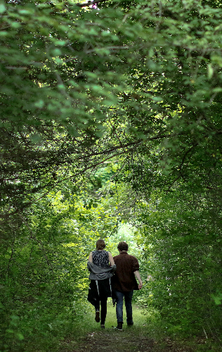 Hikers enjoying the trails at Audubon Caratunk Wildlife Refuge