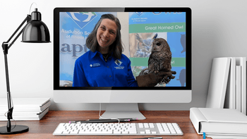 Audubon educator Lisa with Barred Owl Eec on a home computer screen