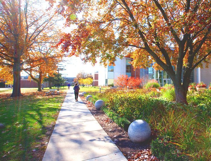 Student on Madonna University Campus