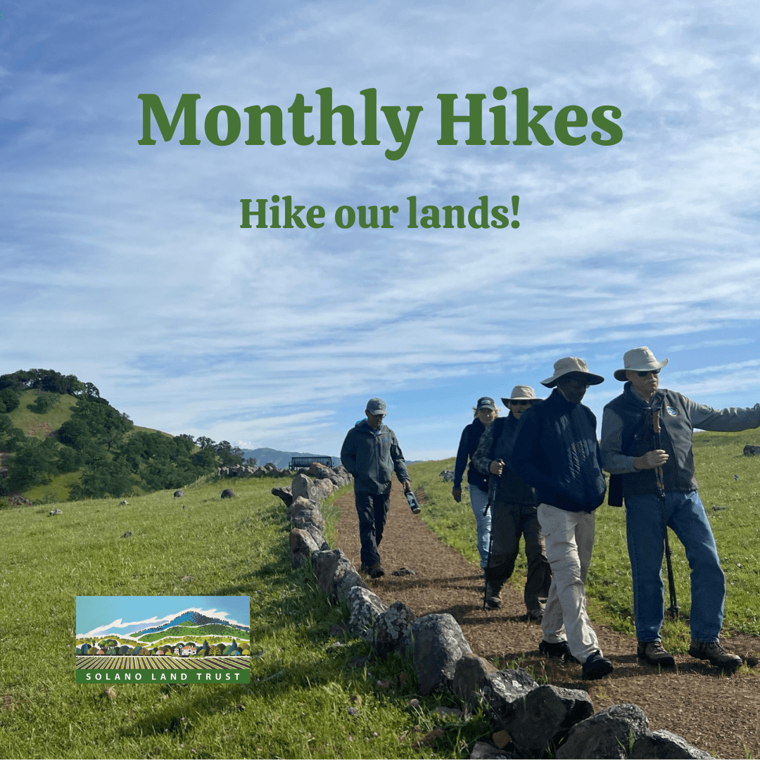 Monthly Hikes