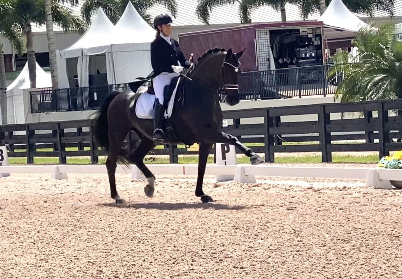 Lehua Custer Awarded 2019 Carol Lavell Advanced Dressage Prize