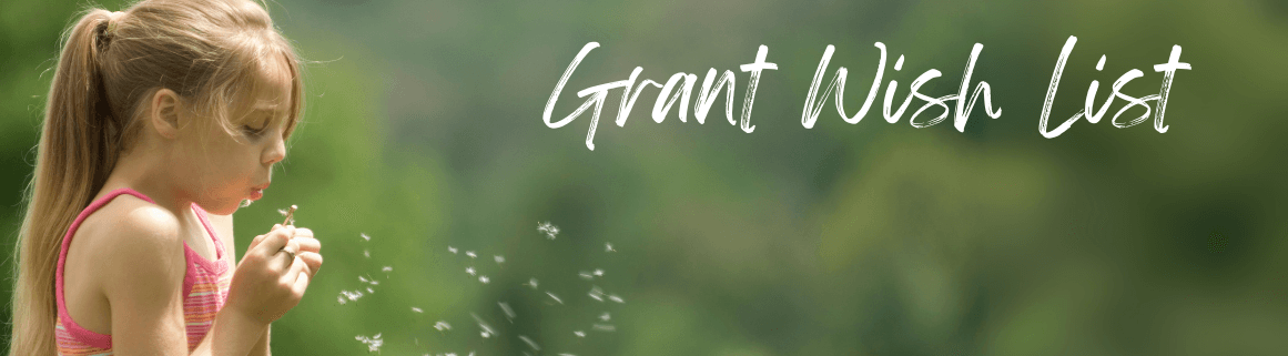 Grant Wish List