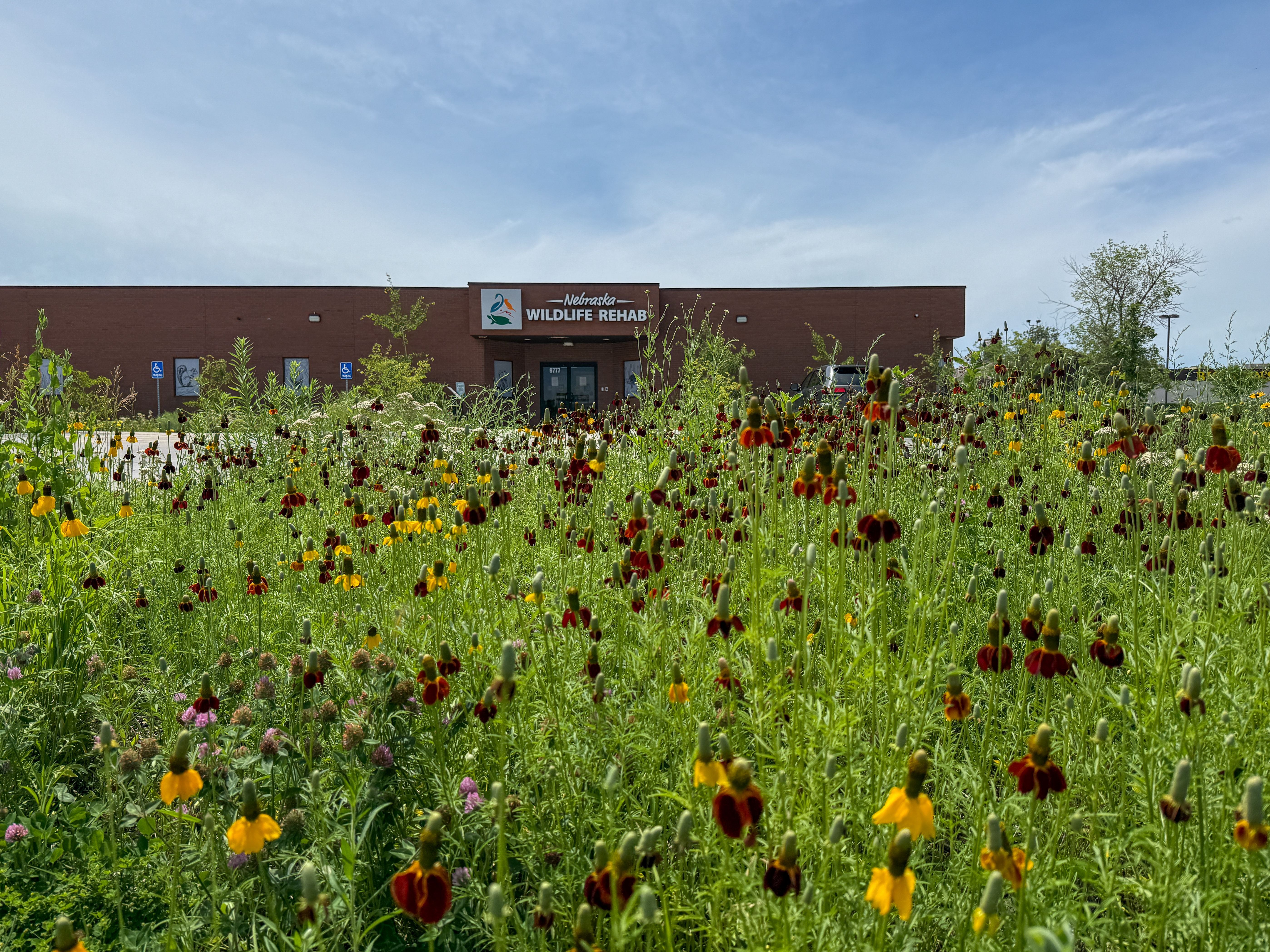 baldwin wildlife center in summer