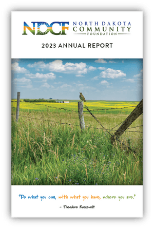 NDCF 2022 Annual Report