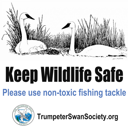 Sticker: Keep Wildlife Safe