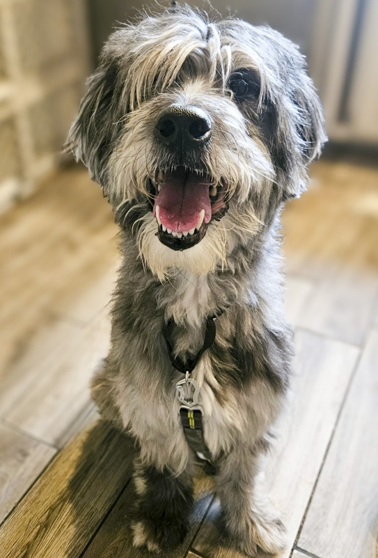 Jax