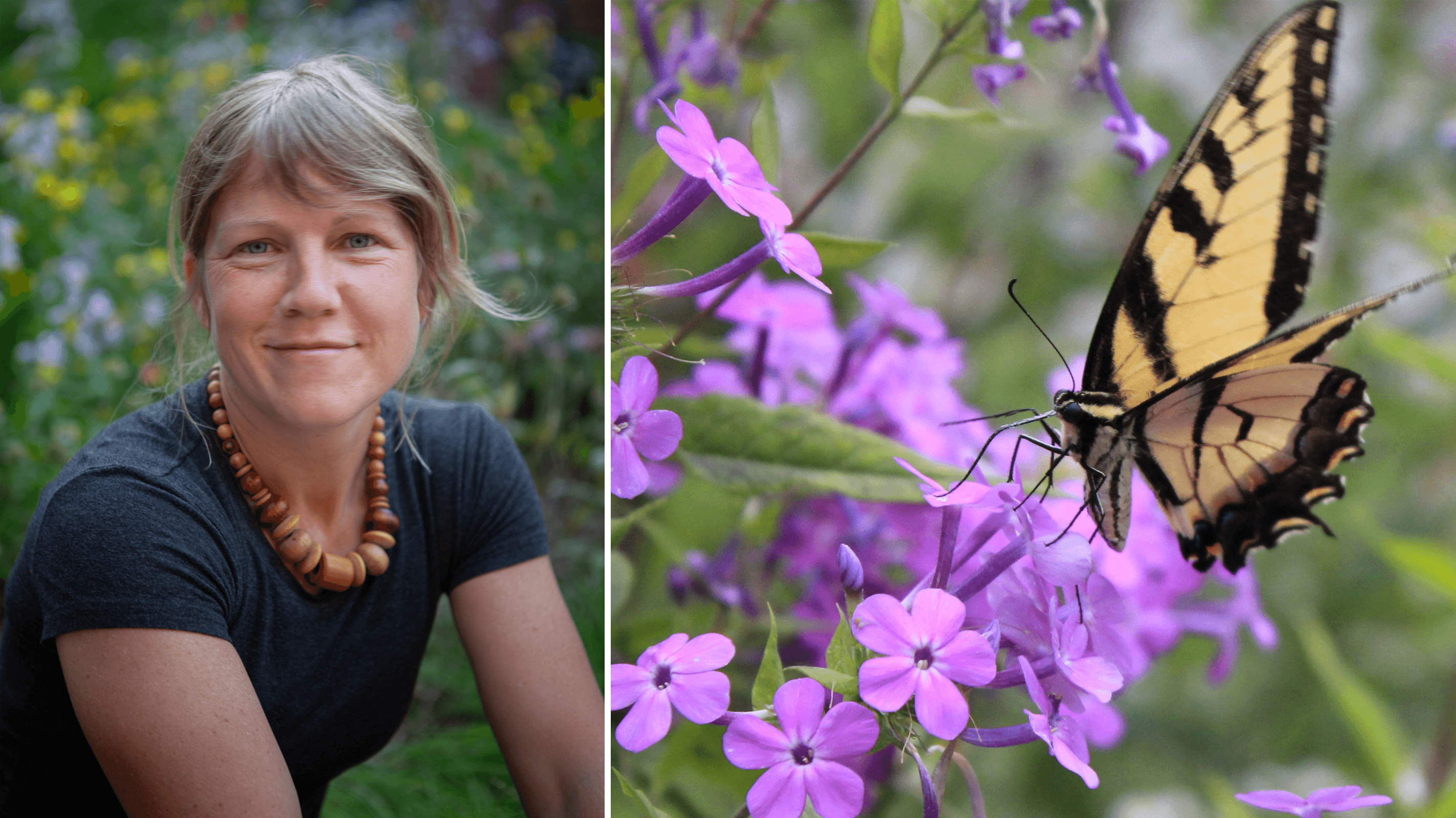 Building Backyard Biodiversity