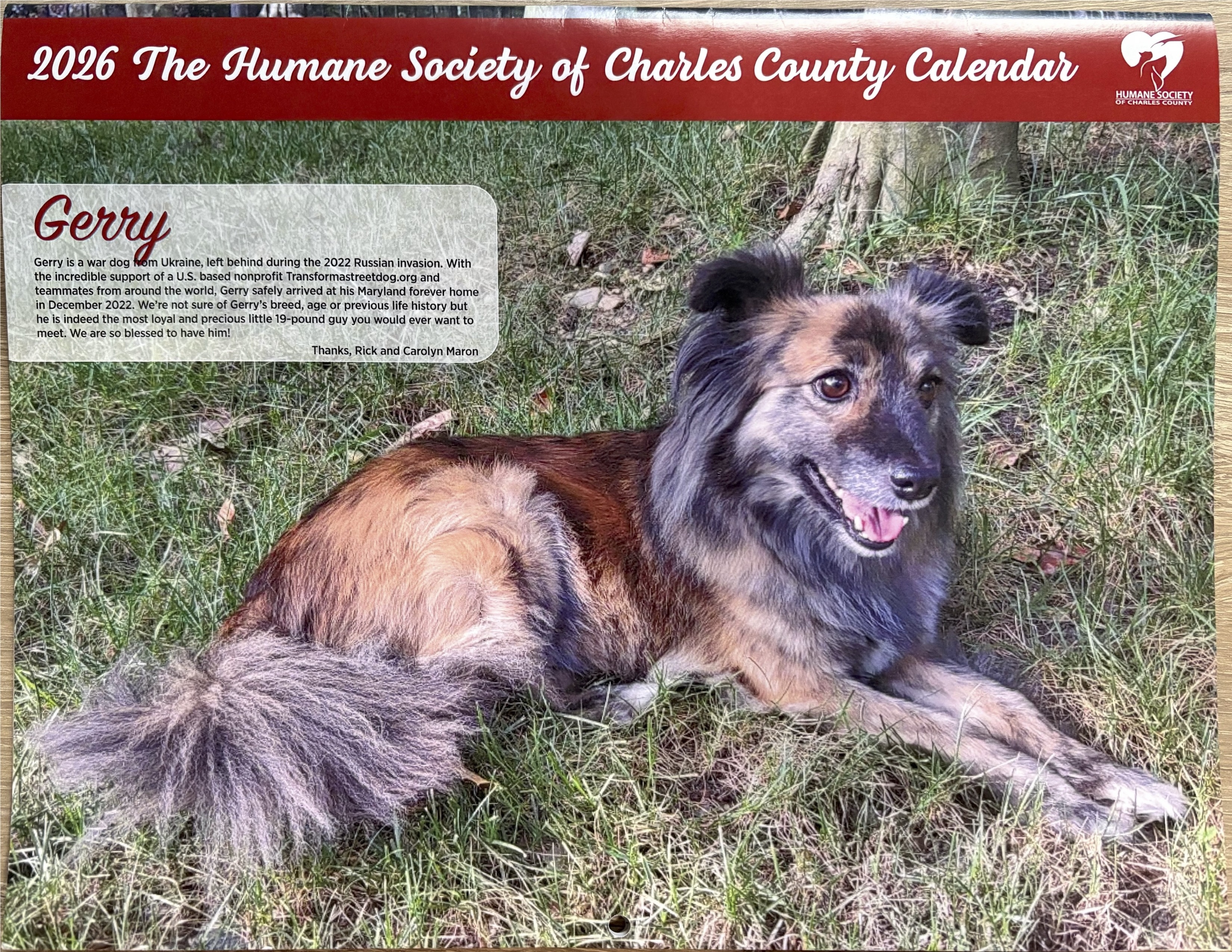 2026 Family Pet Photo Contest Calendar (Shipping)