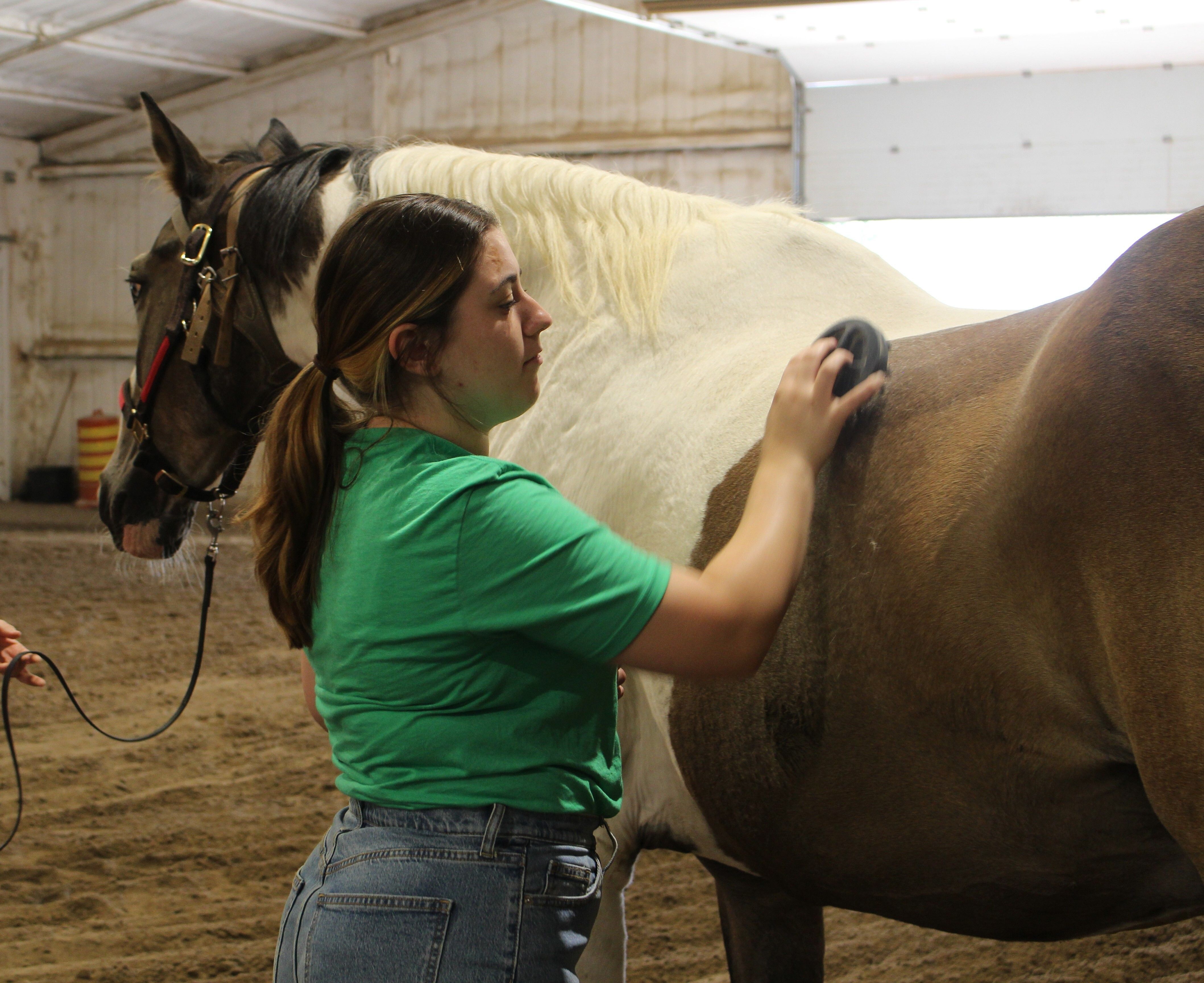 Horses Helping Humans: How HETRA Supports Mental Health 