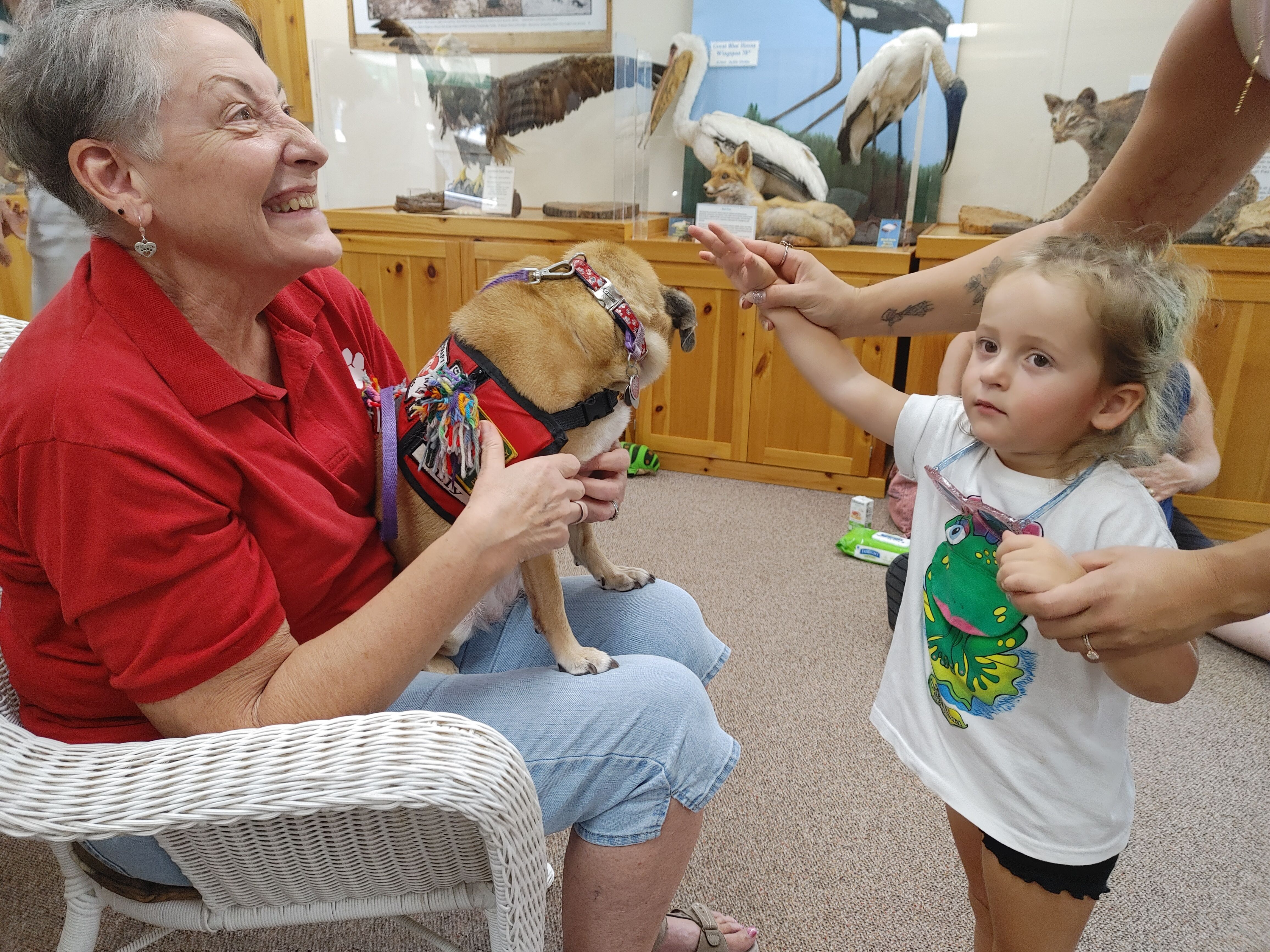 February 25, 2026 PAWS Dogs