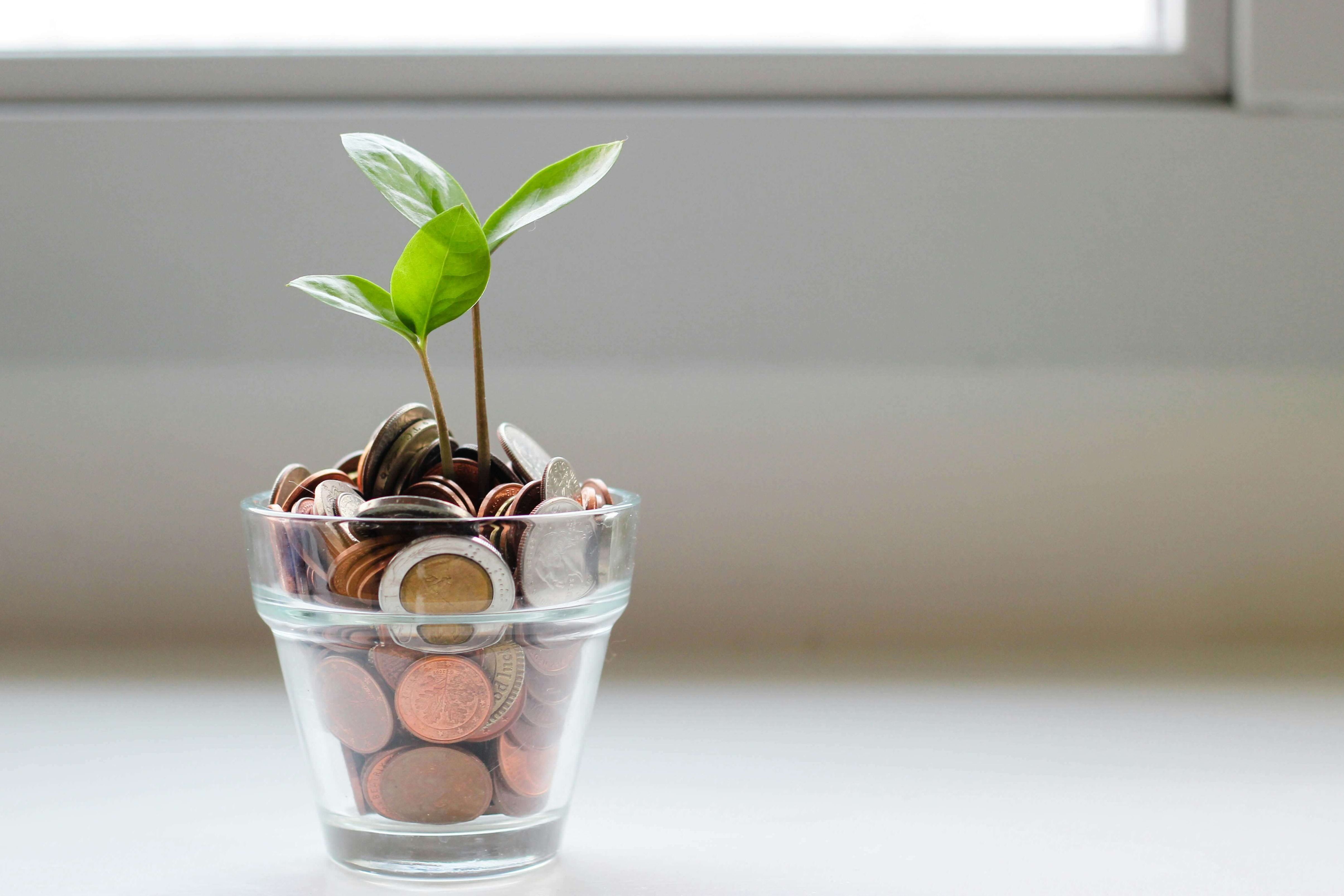 Young boy reading a newspaper