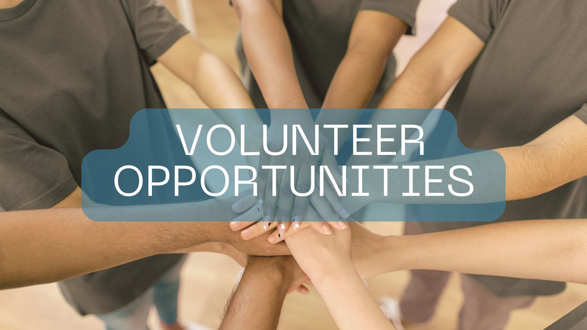 Volunteer Opportunities