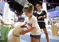 Science Goes To The Dogs In Imagination Station Event