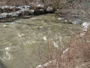 Daily Prayer March 7