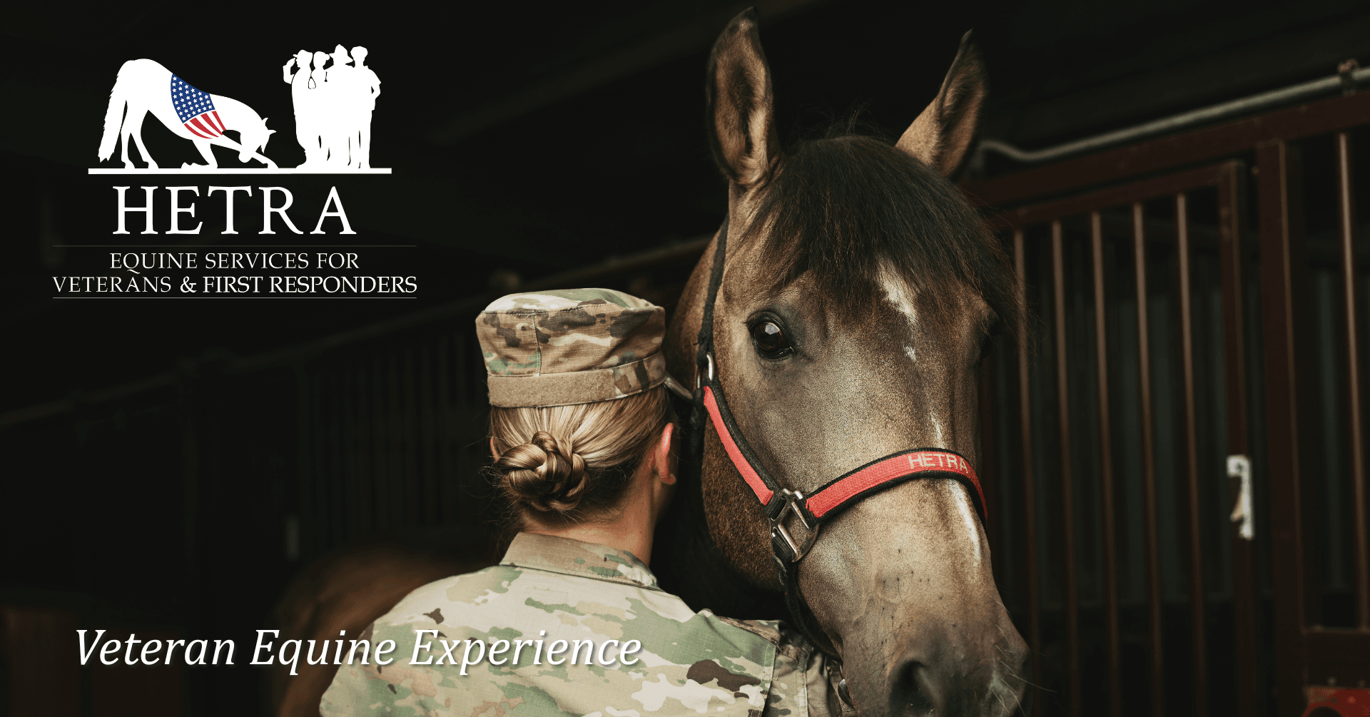 Veteran Equine Experience