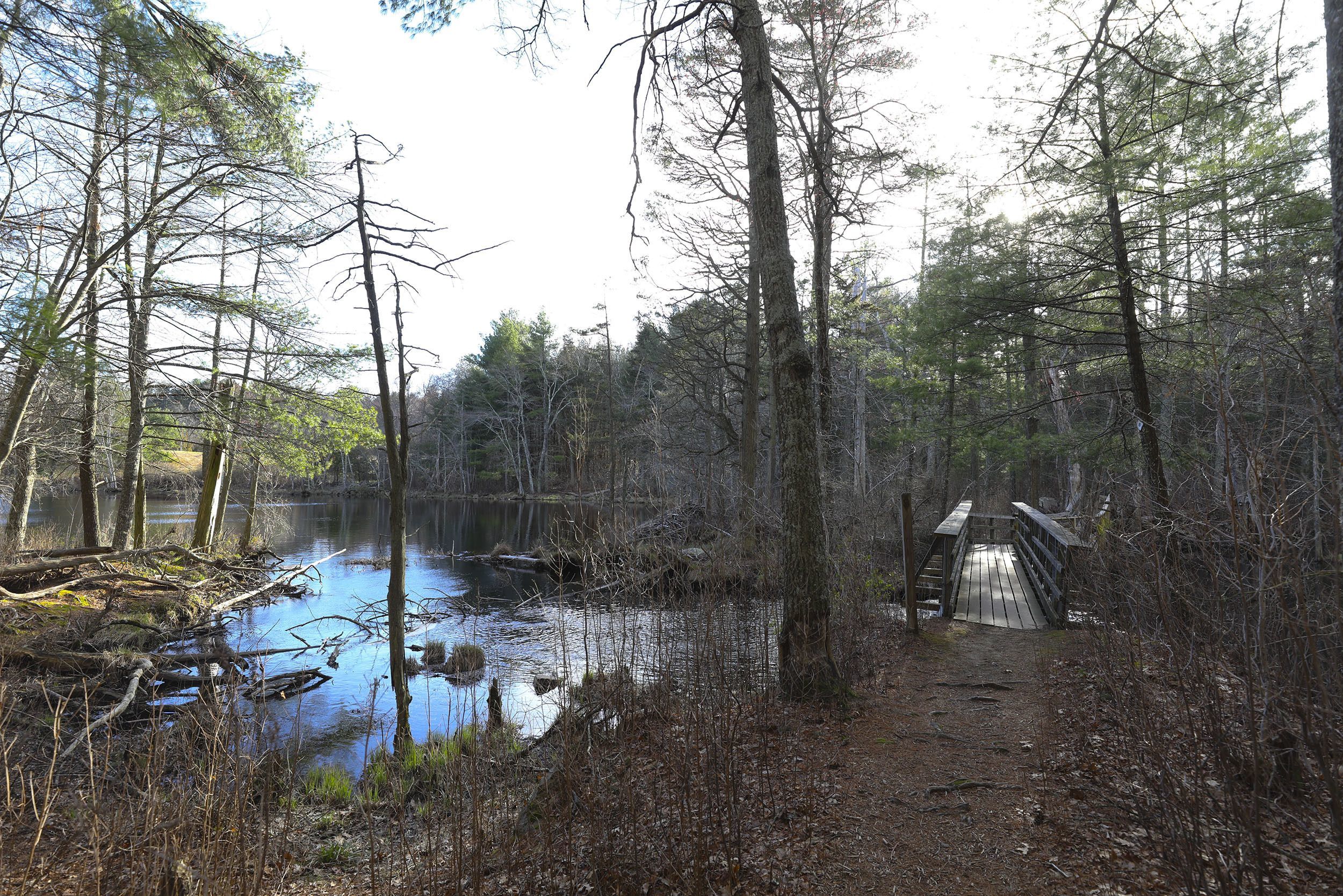 Audubon Society of Rhode Island Fisherville Brook Wildlife Refuge Exeter Birds Birdwatching environment hiking