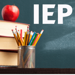 IEP Support