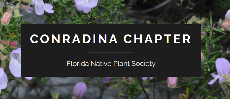 Conradina Native Plant Society